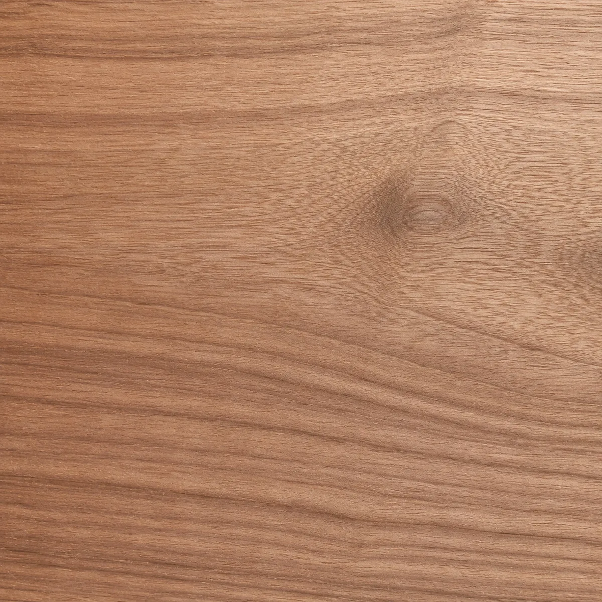 Jequitiba timber sample